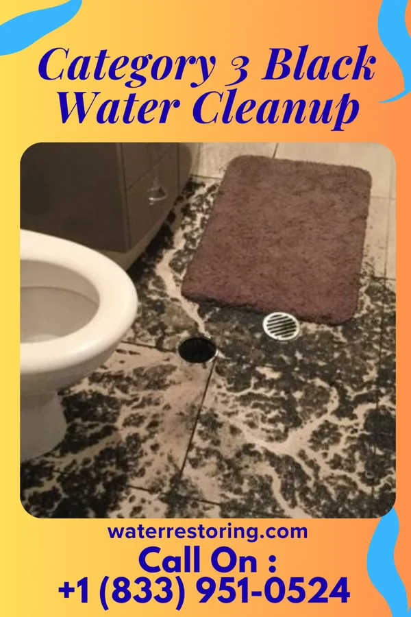 Category 3 Black Water Cleanup in Bath, PA