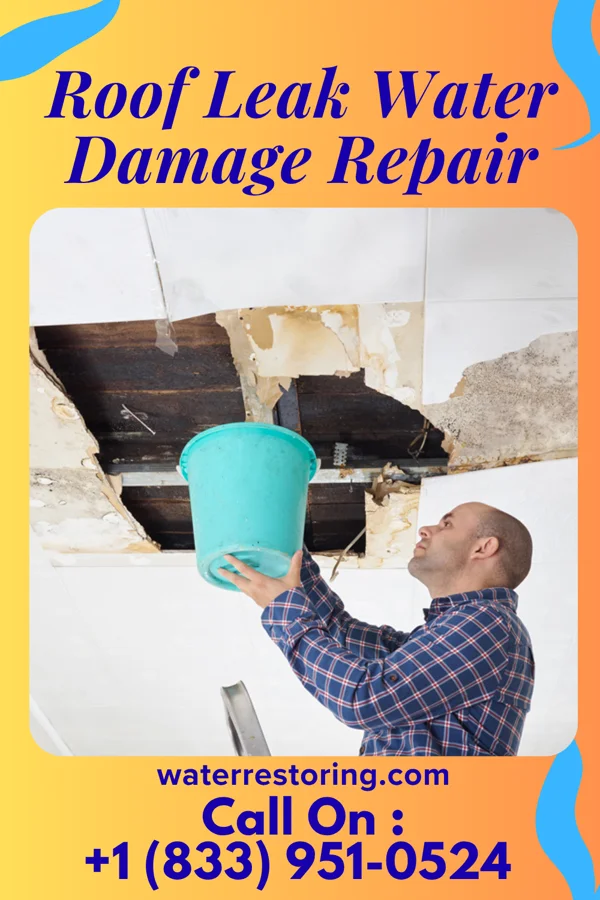 Roof Leak Water Damage Repair in Bath, PA