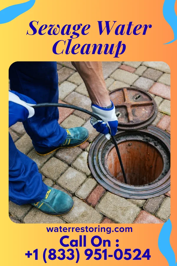 Sewage Water Cleanup in Bath, PA