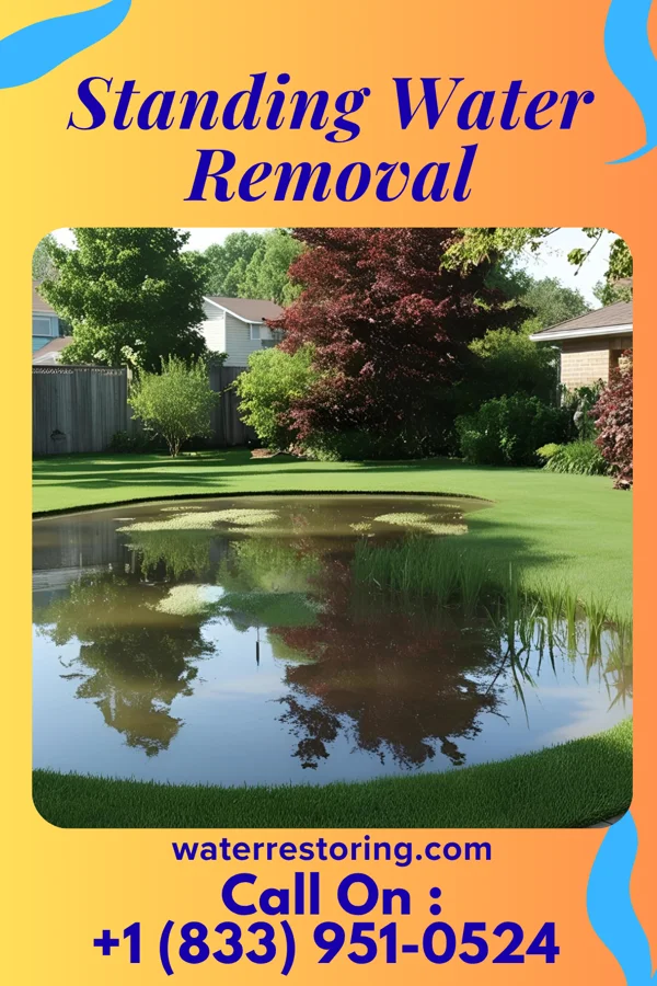 Standing Water Removal in Bath, PA